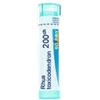 Boiron Rhus Toxicodendron 200 Ch 80 Granuli