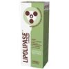 Amnol Chimica Biologica Lipolipase Cremagel 150 Ml