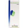 Boiron Rosmarinus Officinali Macerato Glicerico 60 Ml