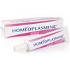 Boiron Homeoplasmine Crema 40 g