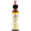 Bach Flower Remedies Olive N.23 Gocce 20 Ml