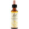 Bach Flower Remedies Scleranthus N.28 Gocce 20 Ml