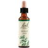 Bach Flower Remedies Holly N.15 Gocce 20 Ml