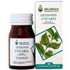 Arcangea Uncaria Integratore Alimentare 60 Compresse 500 Mg