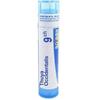 Boiron Thuya Occident. 9 Ch Granuli