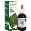 Arcangea Ribes Nigrum Gemmoderivato 33 Bio 100 Ml
