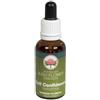Green Remedies Self Confidence Essence Australian 30 Ml