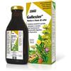 Salus Gallexier Tonico A Base Di Erbe Carciofo 250 Ml