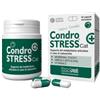 Innovet Condrostress+ Cat 30 Capsule