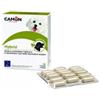 Camon Hybrid 30 Compresse