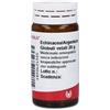 Wala Echinacea Argentum Globuli 20 g