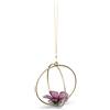Swarovski DECORAZIONE SFERA IBISCO SWAROVSKI GARDEN TALES