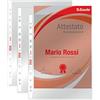 Esselte Buste Perforate Office, in PPL Lucido, per Archiviare e Conservare Documenti in Formato 22x30 cm, Confezione da 100 Buste, 391097000