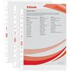 Esselte Buste Perforate Standard, in PPL Antiriflesso, per Archiviare e Conservare Documenti in Formato A4, Confezione da 200 Buste, 395613300
