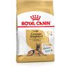 Royal Canin Breed Royal Canin Pastore tedesco (German Shepherd) Adult 5+ Crocchette per cane - Set %: 2 x 15 kg