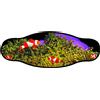 BEST DIVERS cinturino in neoprene 2 clown fish