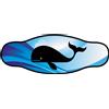 BEST DIVERS cinturino in neoprene WHALE