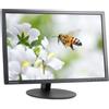 Lenovo ThinkVision T2454p | 24 | Nero - buono