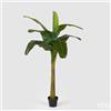 Enzo De Gasperi EDG Enzo De Gasperi Pianta Artificiale Banano con Vaso H170 cm 9 FG
