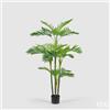 Enzo De Gasperi EDG Enzo De Gasperi Pianta Palma Areca con vaso pvc h147 24 foglie