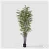 Enzo De Gasperi EDG Enzo De Gasperi Pianta Bamboo con vaso H 210 cm