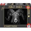 Schmidt Spiele 58540-Puzzle da 1000 Pezzi, Motivo: Dominance, Ariete, Segno del Fuoco, Ashley Rader, Multicolore, 58540