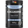 EXVital Collagene in Polvere 500 Gramm - Collagene Idrolisati Bioattivi con Peptidi, Polvere di Proteine - Senza Gusto, Collagene Tipo 1, 2 & 3 Lift Drink, ad Alta Concentrazione