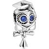 Vegaine Smart Owl Charms per Braccialetti Graduation Charm Gioielli Regali per Donne