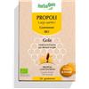 HerbalGem Propoli Largo Spettro Gommose Bio Gola Sensibile e Raffreddore 24 Gommose