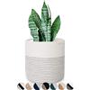 Oradrem Cesto per piante in corda di cotone intrecciato, per 11 vasi da fiori da 30,5 cm, per interni, cesto decorativo per piante, organizer moderno per la casa (30,5 x 30,5 cm, bianco)