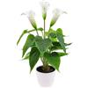 Folmywy Piante da fiore artificiali calla giglio 40,6 cm finto giglio della pace in vaso pianta di seta bianca finto bonsai per interni verde realistico centrotavola per ufficio esterno decorazione