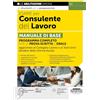 Edizioni Simone Esame per consulente del lavoro. Manuale di base. Programma completo per la prova scritta e orale. Con approfondimenti online