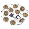 RL LIVE YOUR LIGHT Reality Leuchten Mood R74761932 - Catena luminosa a LED ibrida per esterni, in plastica nera, paralume in plastica marrone, con 10 LED da 0,5 Watt, telecomando, lunghezza 5,7 metri