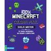 Gallucci 100% Minecraft. Colora i pixel. Svela i misteri