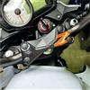 BLACK DOVES GRAPHICS Adesivo 3D Protezione Piastra Forcella compatibile con/sostitutivo per KAWASAKI Z750 (tutte le annate) e Z1000 (fino al 2009) (NERO-ARANCIONE)
