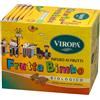 VIROPA IMPORT Srl VIROPA FRUTTA BIMBO BIO 15BUST