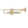GEWA Roy Benson Bb Trumpet TR-202G (costruzione durevole in ottone dorato, con custodia rettangolare leggera, set di zaini, valvole in acciaio inossidabile di qualità superiore)