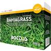 Bottos Semi per prato Bahia-grass (Paspalum notatum) 500 grammi