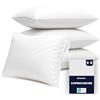 Dreamzie Copri Cuscino Letto 65x65 cm - Set 4 Copricuscino Impermeabile con Cerniera - Antiacaro, Oeko-Tex - Lavabile a 90°C