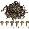 PATIKIL 1000 PCS Borchie In Ottone Per Carta Mini Borchie Metalliche Pastelli Testa Tonda Per Lavoretti Artistici Scrapbooking Forniture DIY, Tonalità Bronzo, 5 X 9 Mm