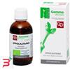 FITOMEDICAL SRL IPPOCASTANO MACERATO GLICERICO 50 ML BIO