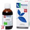 FITOMEDICAL SRL LUPPOLO TINTURA MADRE 50 ML BIO