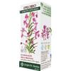 DR.GIORGINI SER-VIS Srl Epilobio estratto integrale 200 ml