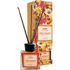 E.FA.S. SpA Colors diffusore ambiente arancia cannella 100 ml
