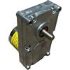 Generico Motoriduttore Brushless 24V IPC GMF440D901 | 4 RPM | Coppia 10Nm | Albero 9,5mm | Per Stufe Extraflame PK15, PK20, Mietta, Wendy, Isidora Idro | Ricambio 14702157