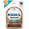 Forza10 Cat Active Intestinal Colon in Patè - Bustina Da 80 Gr