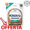 Forza10 Cat Active Intestinal Colon in Patè - Bustina Da 80 Gr - CONFEZIONE RISPARMIO
