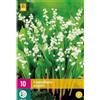 Jub Holland Convallaria Majalis PLG. - 10 PZ