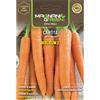 Magnani carota berlicum 2