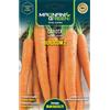 Magnani Carota berlicum 2